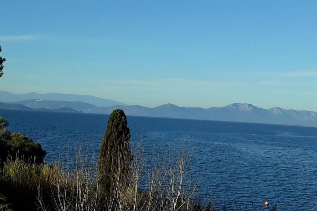 Amazing Sea View-Neos Pyrgos Beach -Evoia Greece Neos Pirgos Exterior photo