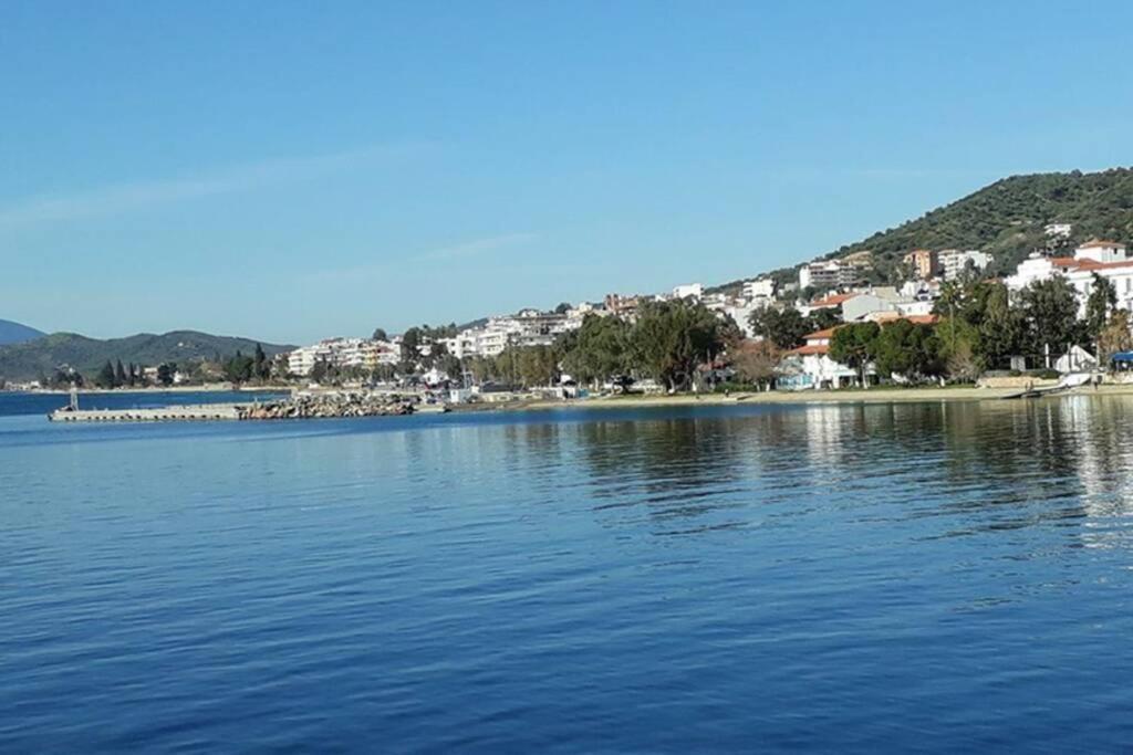 Amazing Sea View-Neos Pyrgos Beach -Evoia Greece Neos Pirgos Exterior photo